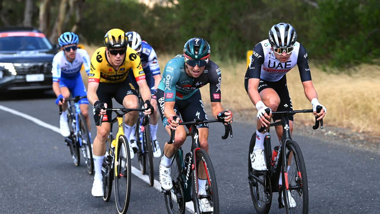 Image for read more article ''