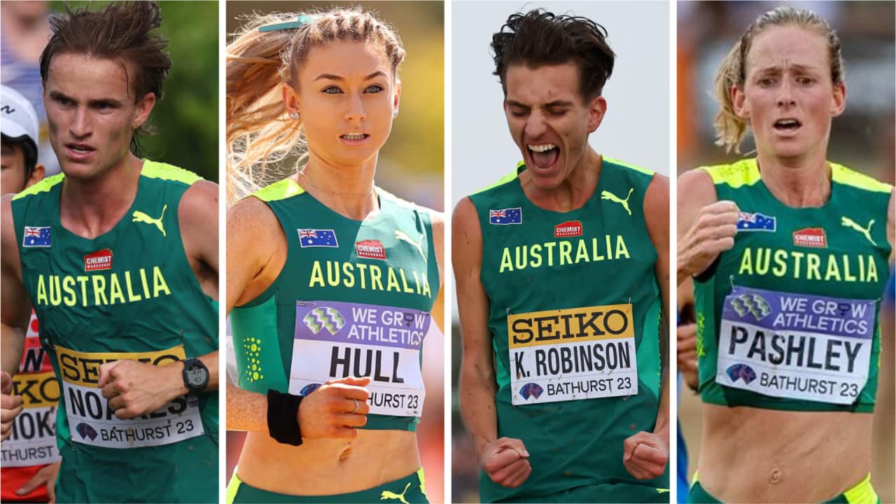 Image for read more article 'READ MORE'