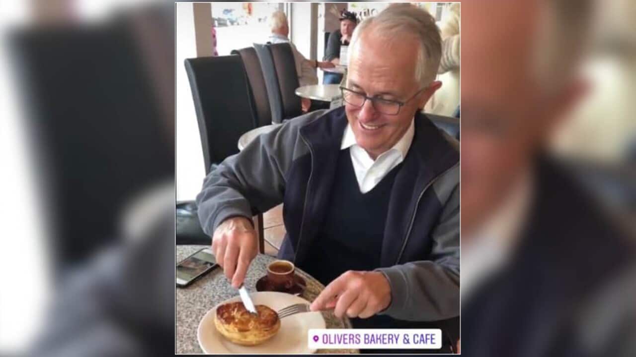 'Piegate' Turnbull roasted for eating a meat pie with cutlery SBS News