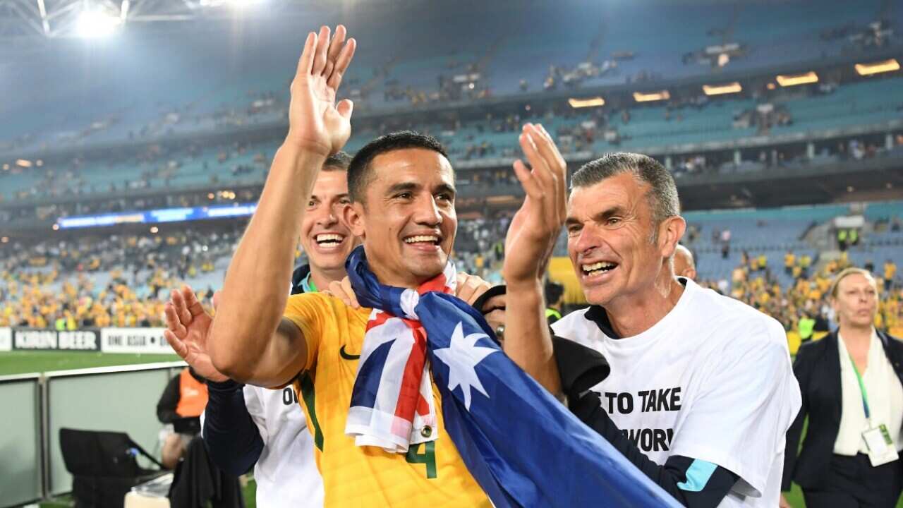 Australia's Tim Cahill