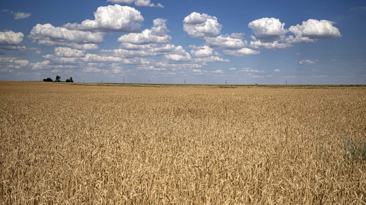 Image for read more article 'READ MORE'