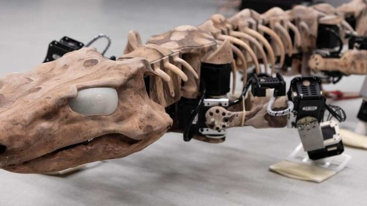 the OroBOT, based on an Orobates Pabsti fossil