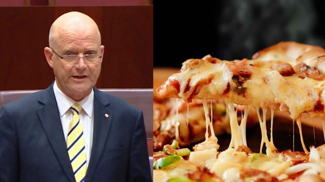 David Leyonhjelm thanked the contribution of "young brown men" for their role in Australia's workforce.