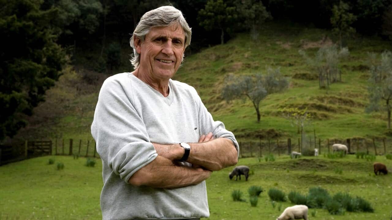 Murray Ball