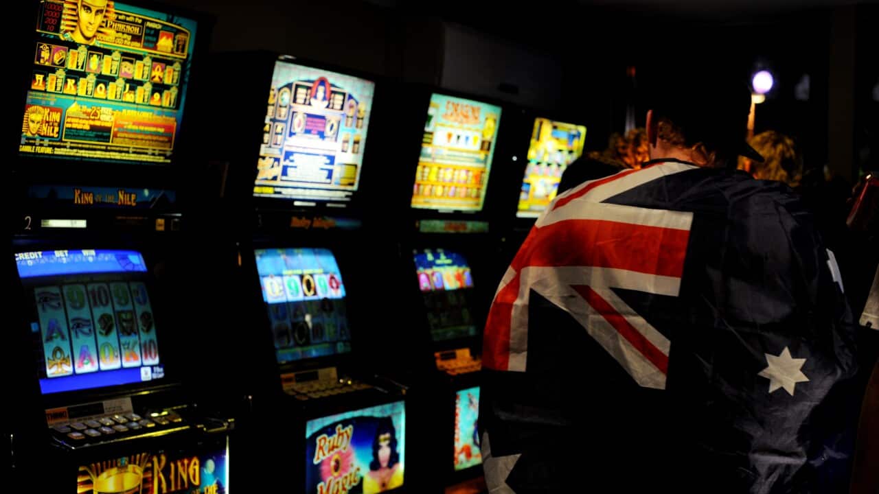 Festival goers use poker machines.