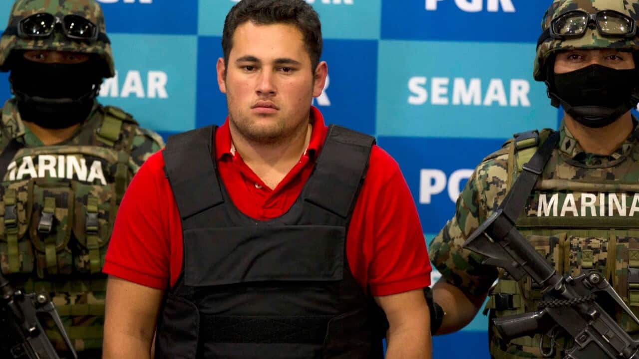 Guzman relative says 'El Chapo' son released in Mexico SBS News