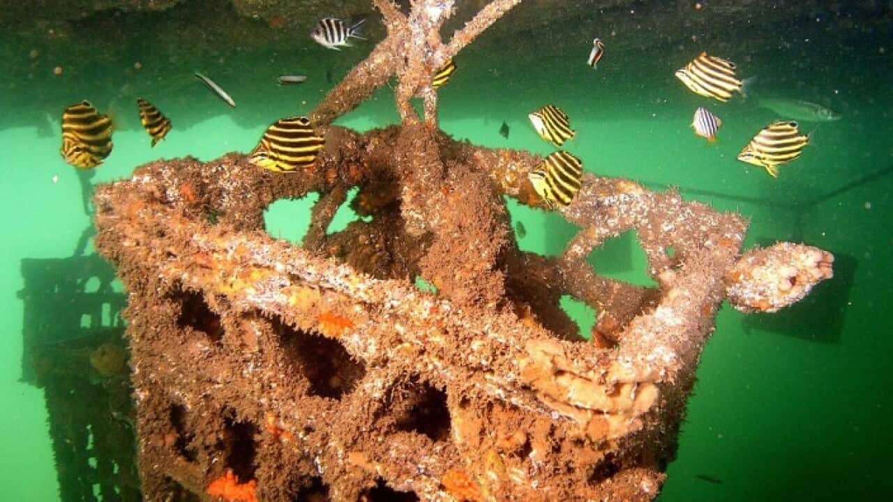 Floating artificial reef crate