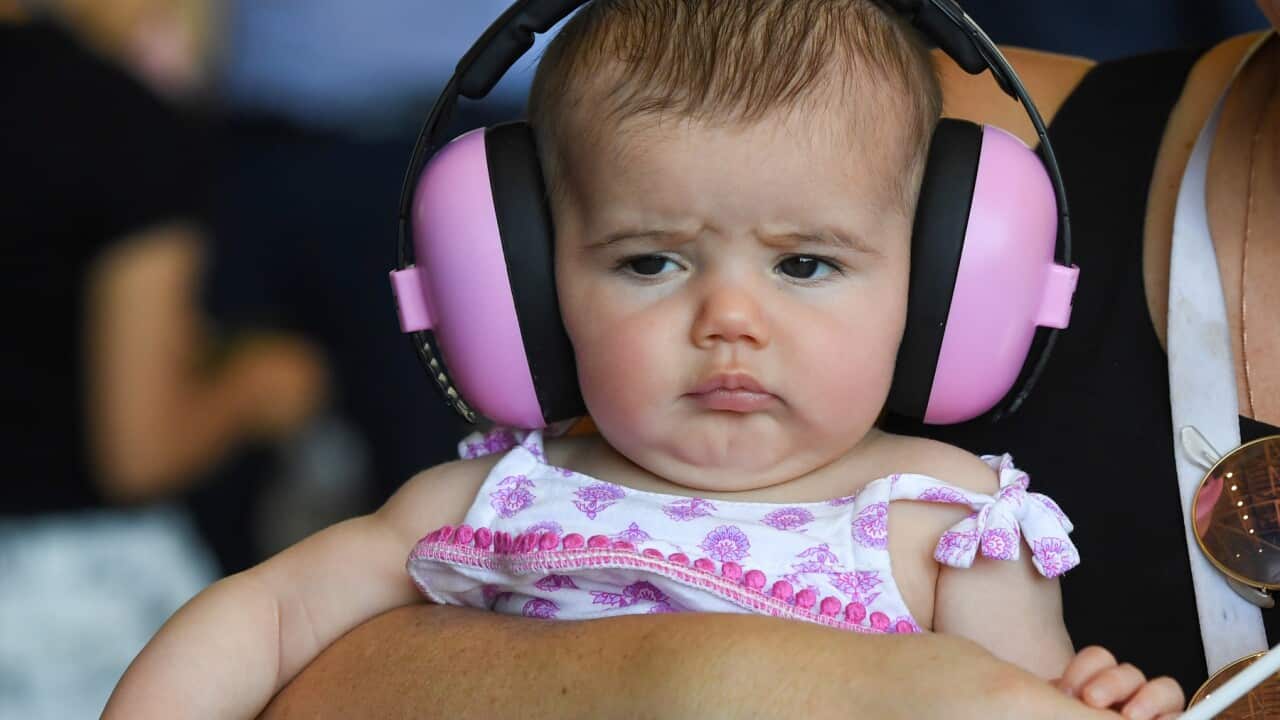 A baby wearing ear protection (AAP).