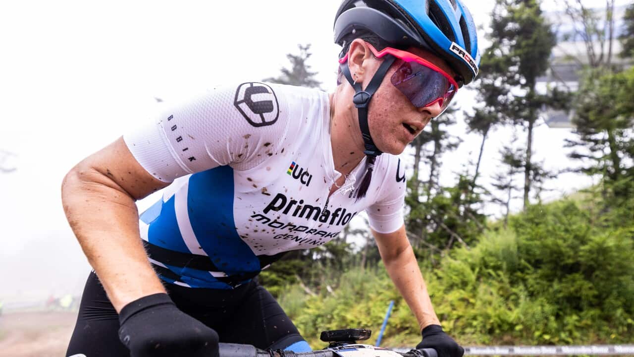 Image for read more article ''