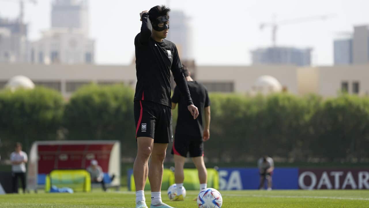 Image for read more article 'READ MORE'