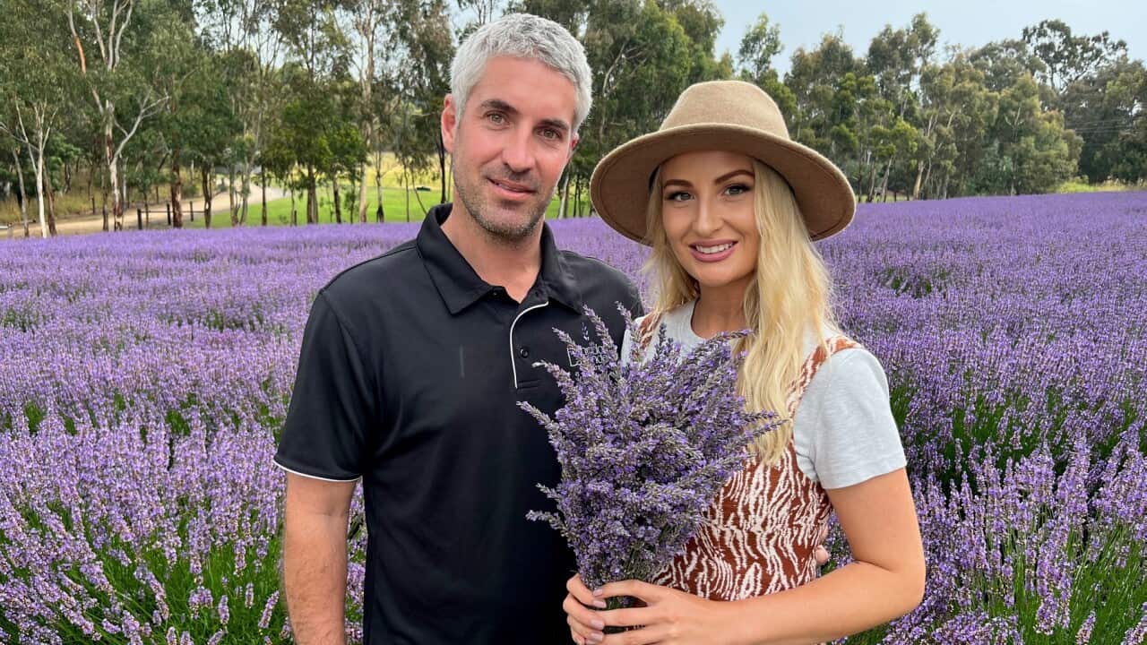 Thomas Mahar and Nicole Jordan at their lavender farm in South Australia (SBS-Sandra Fulloon).jpg