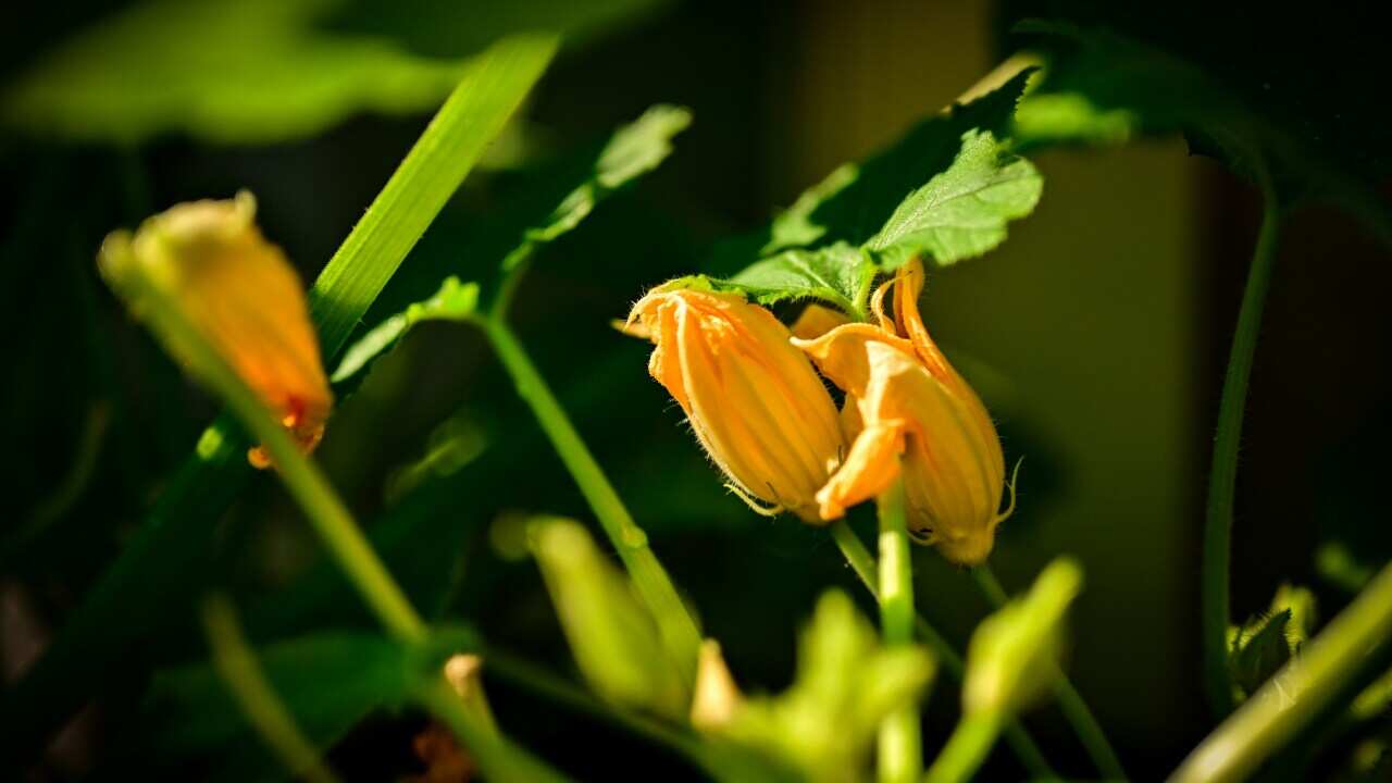 samantha-fortney-uV9v5scFffQ-unsplash (1).jpg