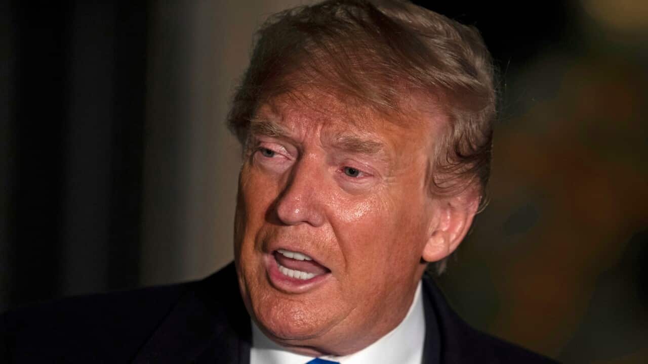 Donald Trump ‘committed impeachable crimes’, constitutional experts have told Congress.
