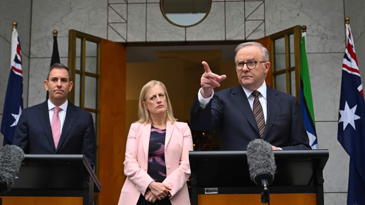 ANTHONY ALBANESE PRESSER