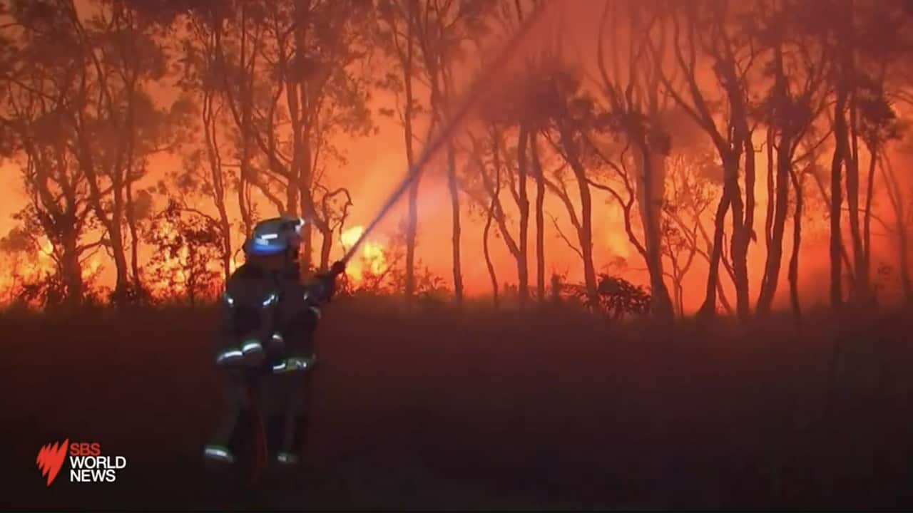 Queensland bushfires