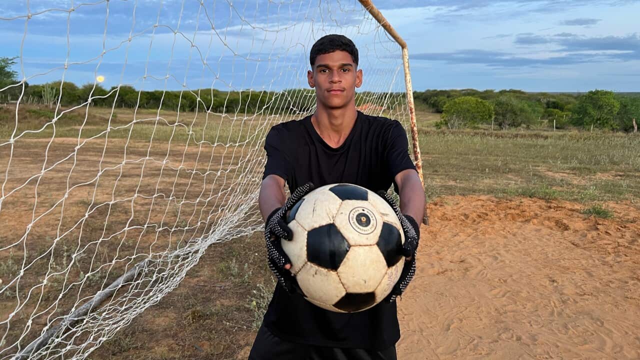 Image for read more article 'veja ainda'