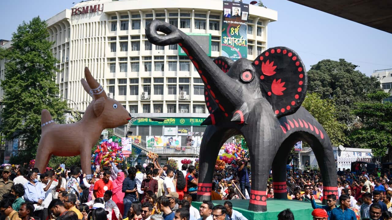 Image for read more article 'READ MORE'