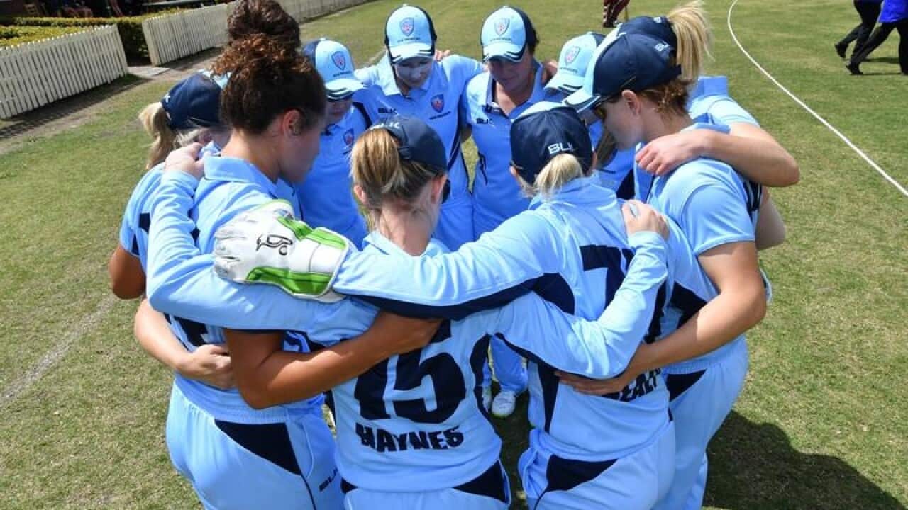 CRICKET WNCL QLD NSW