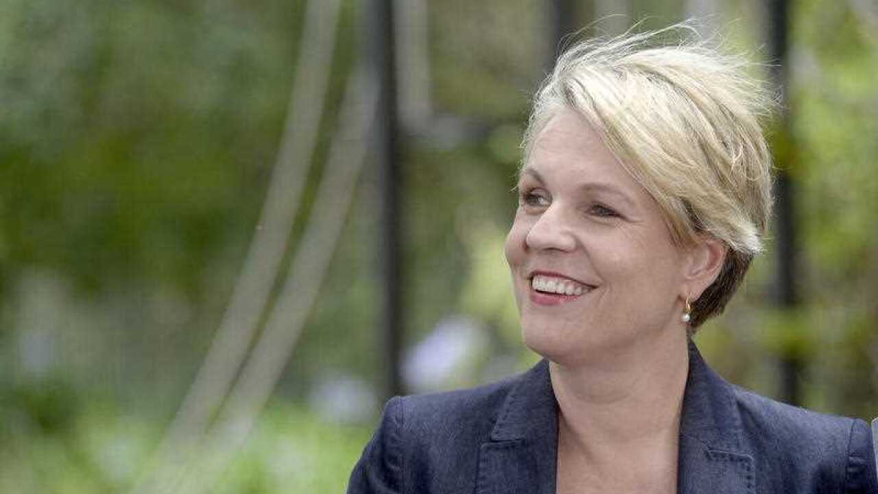 Deputy Opposition leader Tanya Plibersek at a doorstop in Sydney