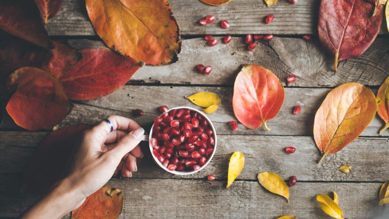 A cup of pomegranate