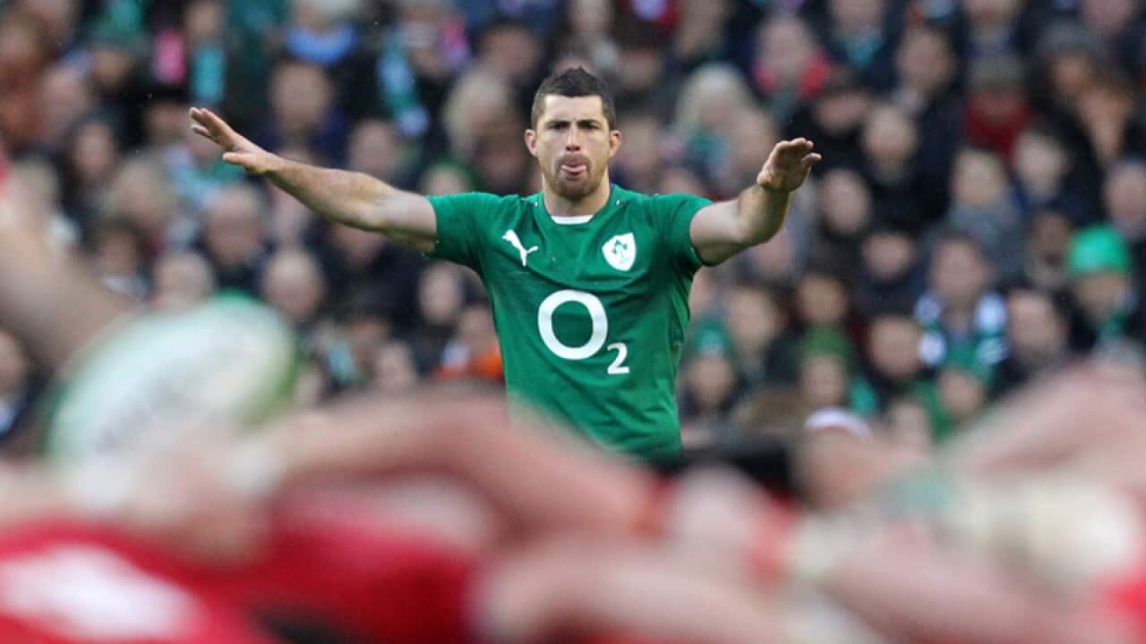 David Kearney looking onto the scrum