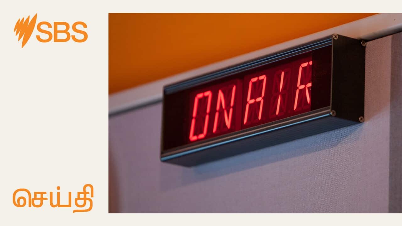 SBS News Image 1.jpg