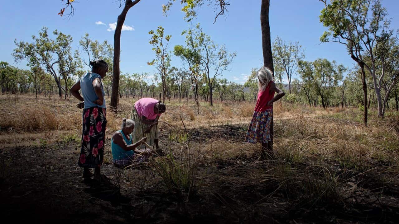 Traditional knowledge about ingredients has been verbally passed down the generations by elders