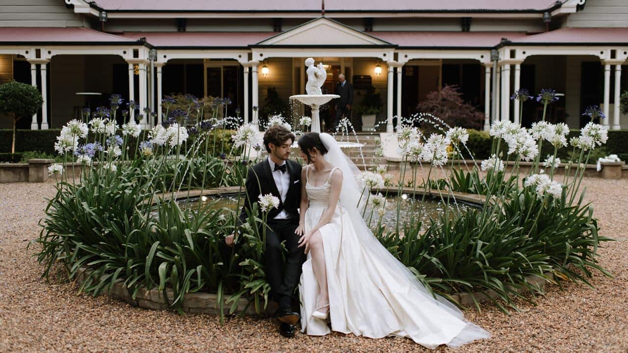 wedding