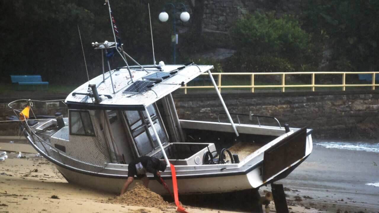 A man attempts to dig his boat off the beach at Manly Cove