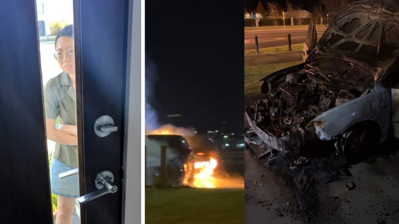 Untitled design (2).png