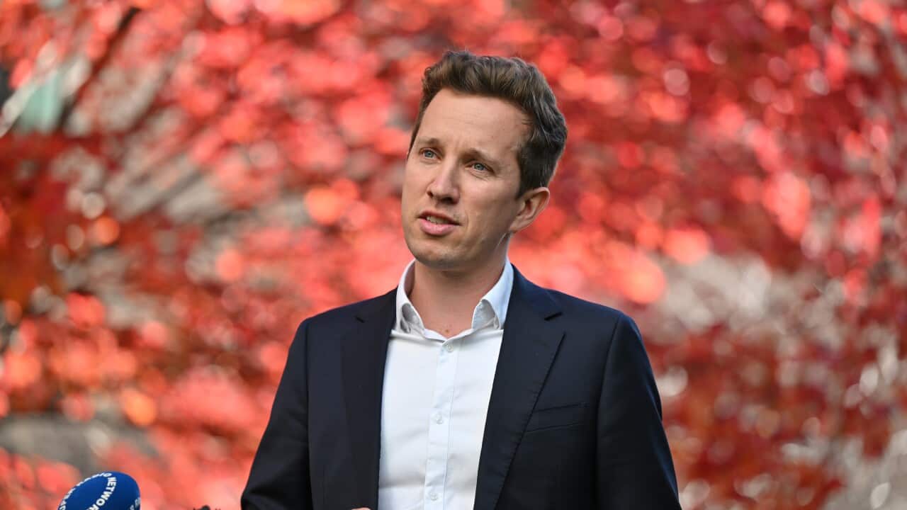Man in suit stands in front of blooming red tree.