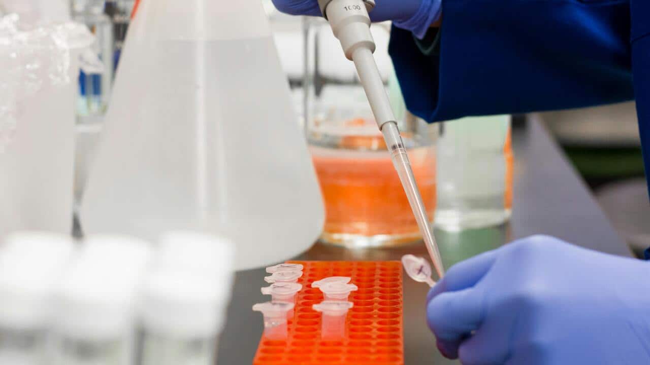 Image f a lab where a person wearing latex gloves is pouring a substance from a dropper into a test tube with background of medical equipment.
