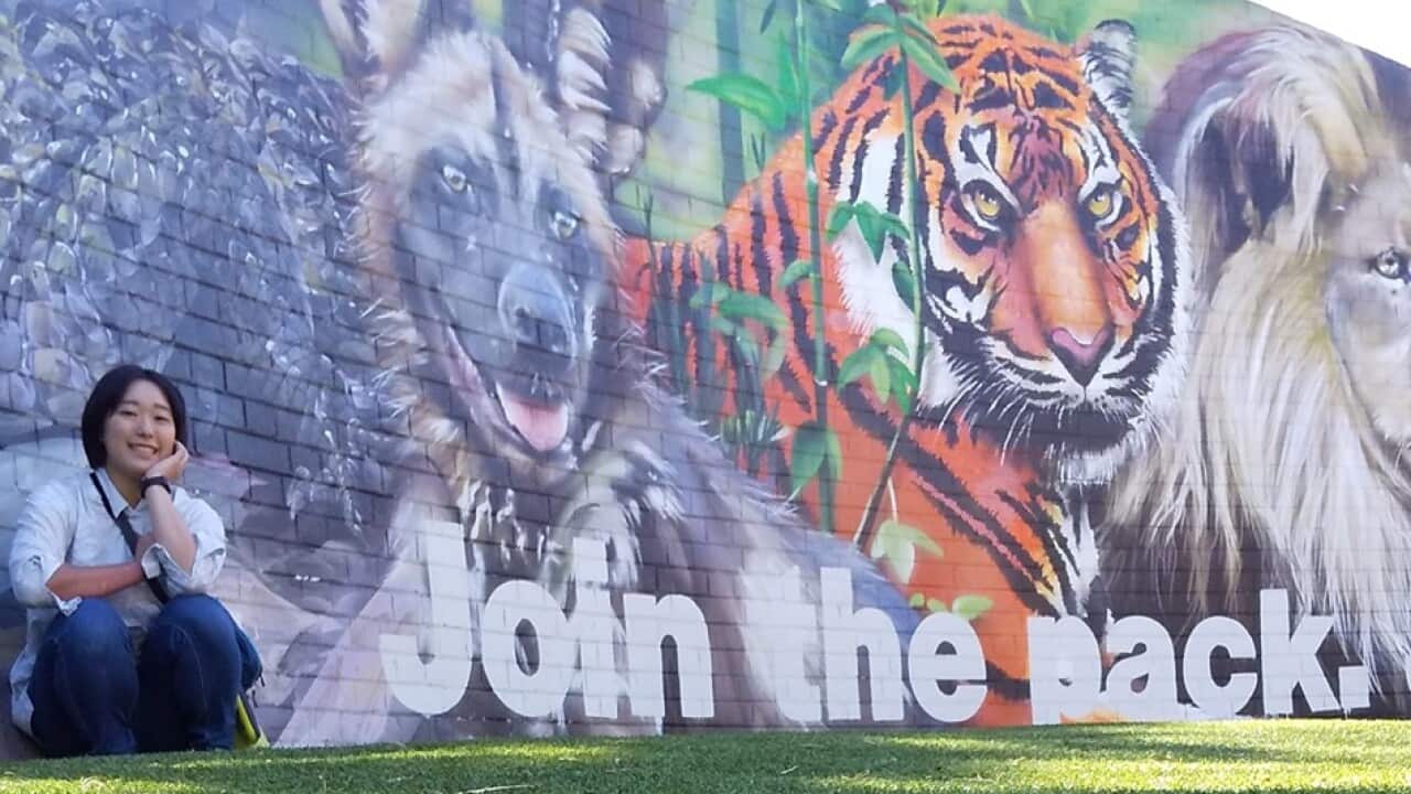 Image for read more article ''