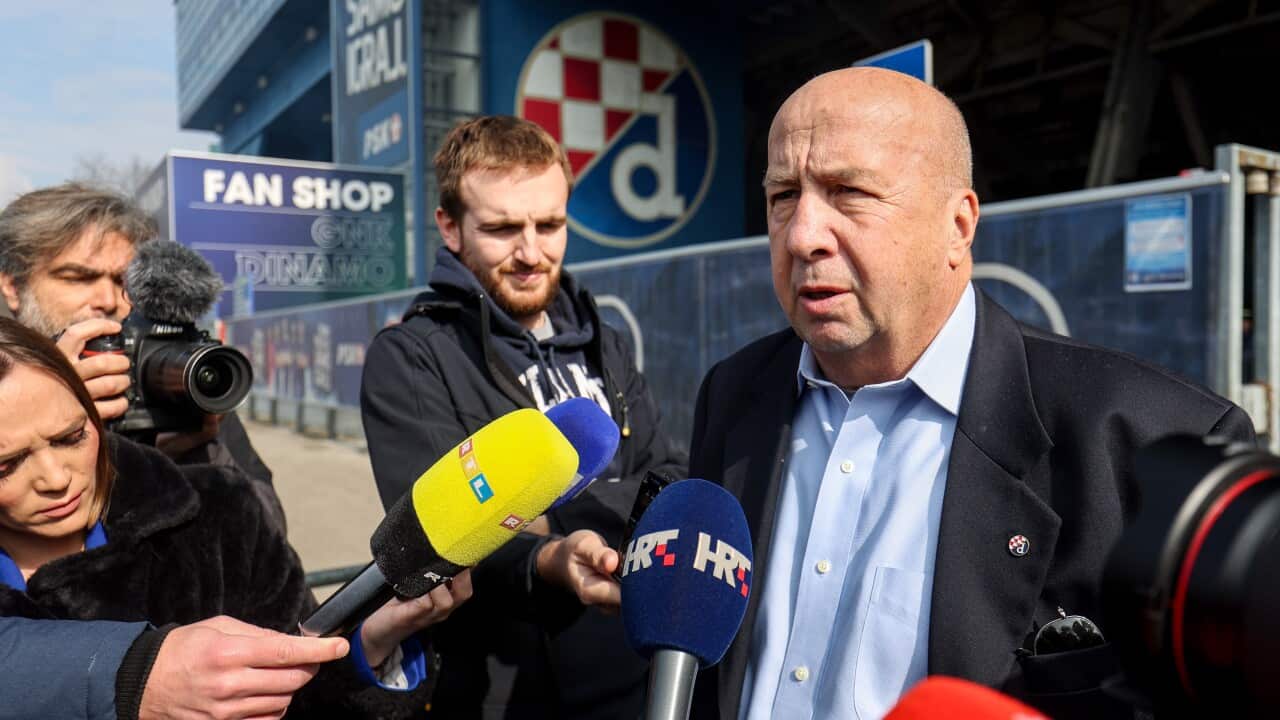Velimir Zajec Dinamo Zagreb 2024