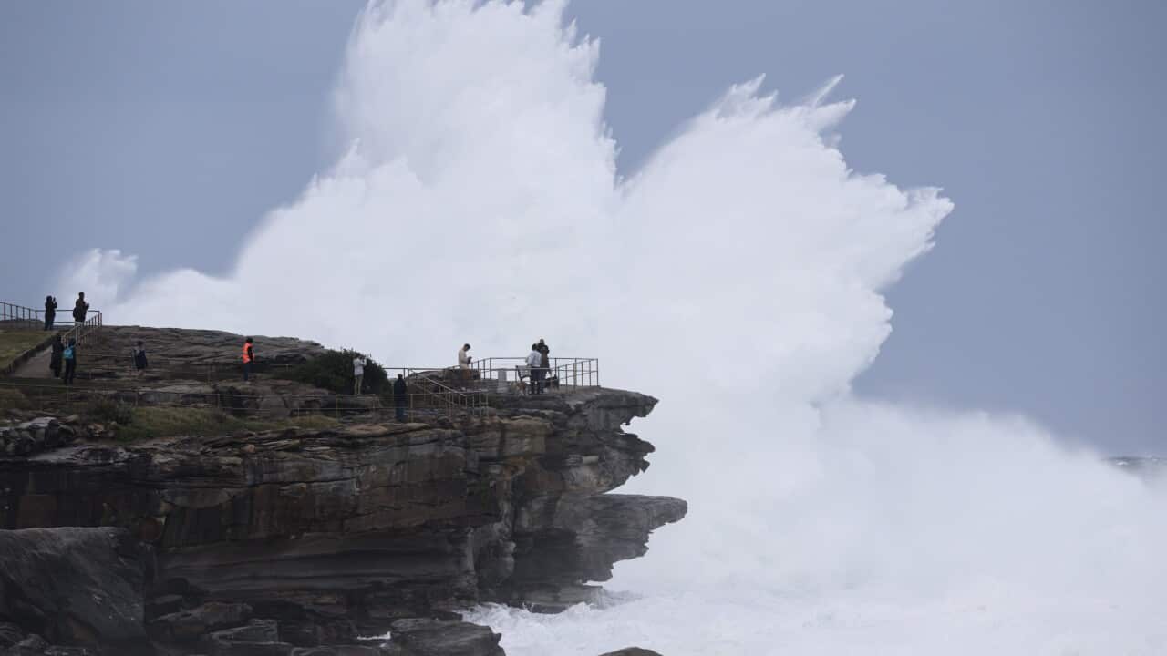 Image for read more article '更多內容'