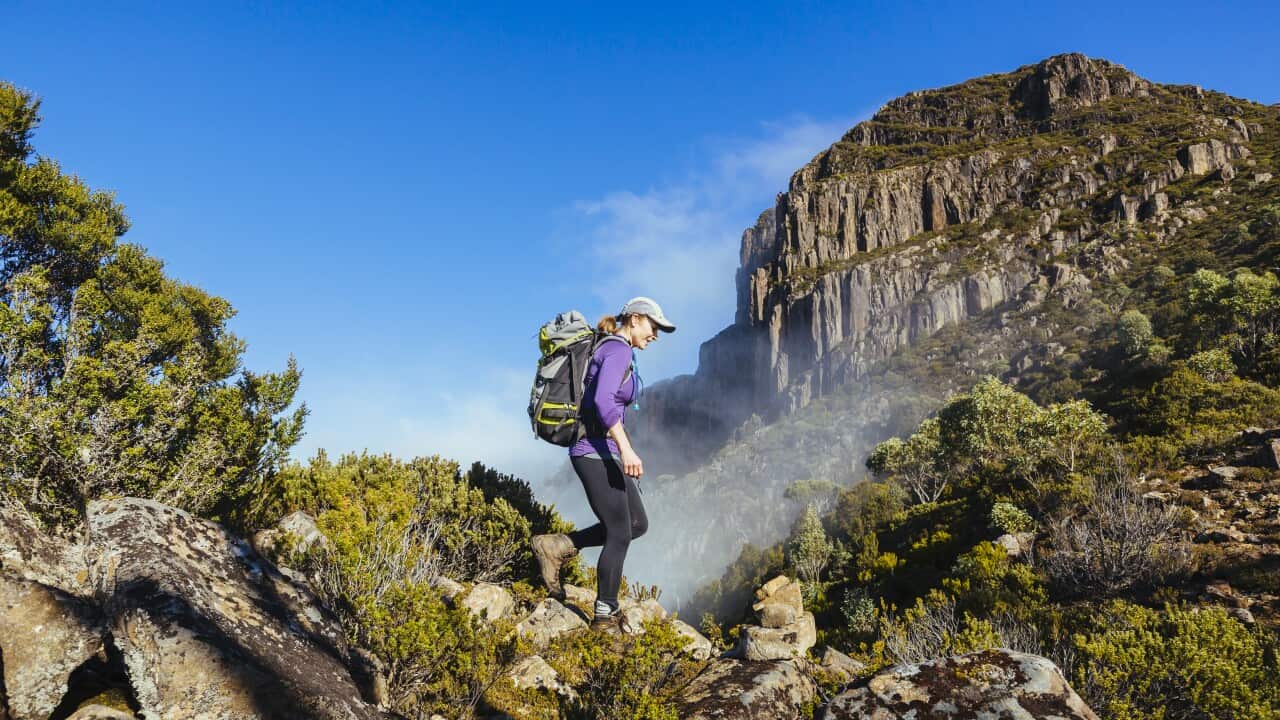 A woman hiking the trail to Mount King William I