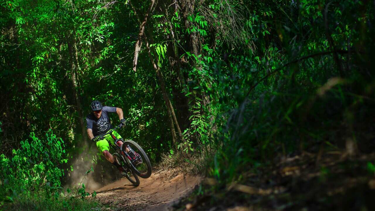 The rainforest vegetation at Smithfield Mountain Bike Park provides a unique riding experience