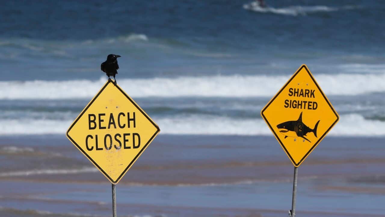 Segnali di chiusura della spiaggia a Dee Why Beach a Sydney.