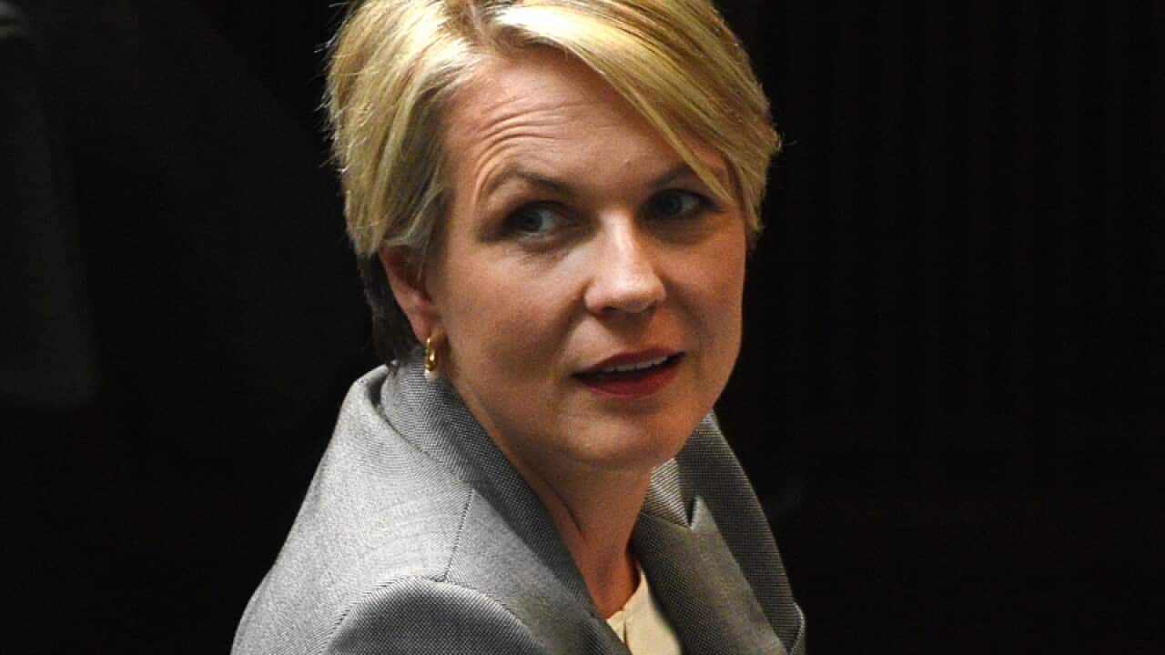 Tanya Plibersek.
