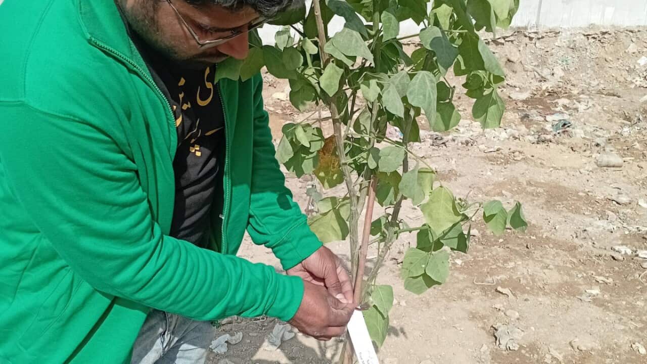 WhatsApp Image 2026-02-04 at 08.35.46.jpeg