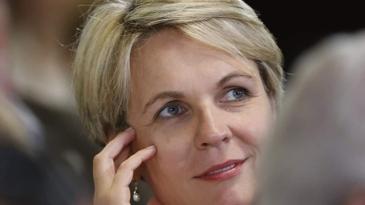 Deputy Opposition Leader Tanya Plibersek
