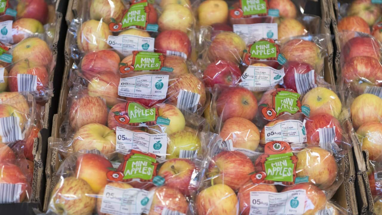 Apples for sale in plastic packaging.