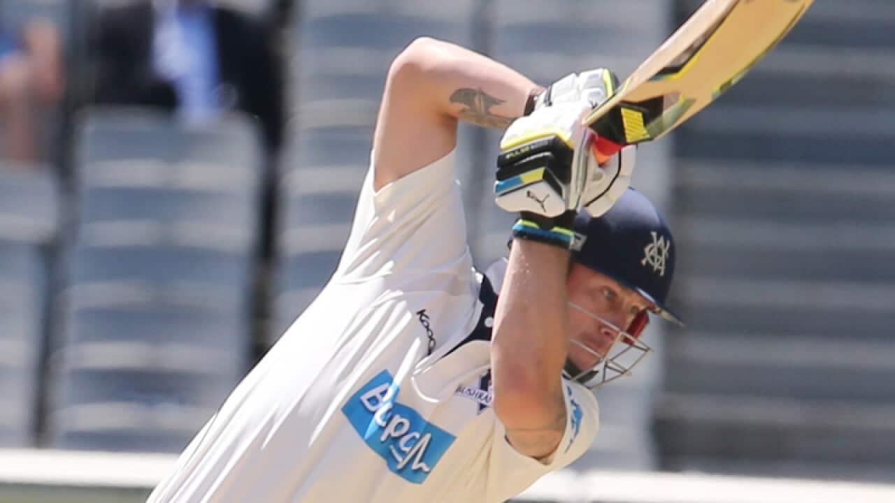 Victorian batsman Matthew Wade