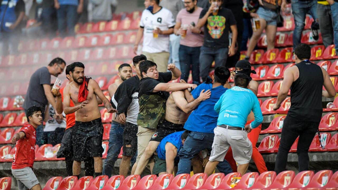 Image for read more article ''