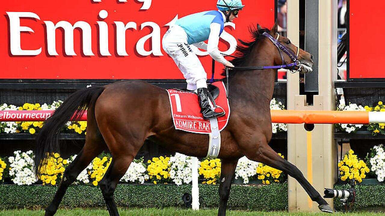 In 2014 the death of Melbourne Cup favourite Admiral Rakti prompted some people to say that three deaths at the Melbourne Cup in two years was proof that something needed to change in the treatment of racehorses.