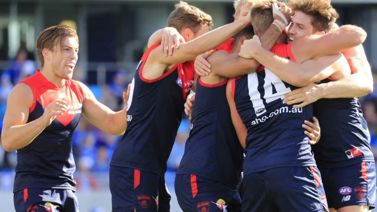 North Melbourne celebrates
