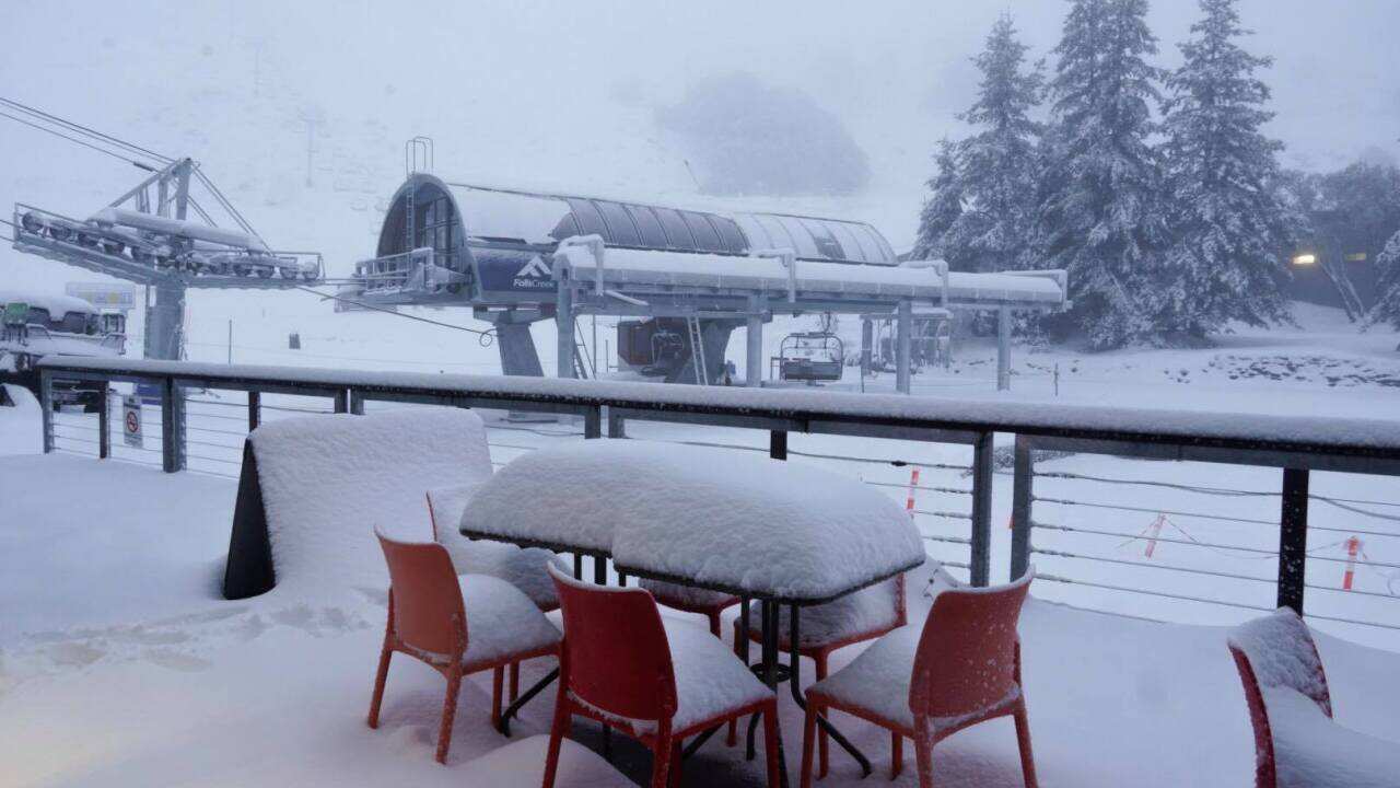 The cold snap has brought one of the best starts to the ski season in years.
