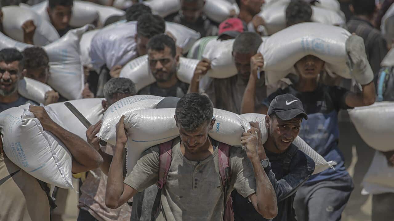 Aid enters Gaza Strip after Israel announces daily pause of hostilities