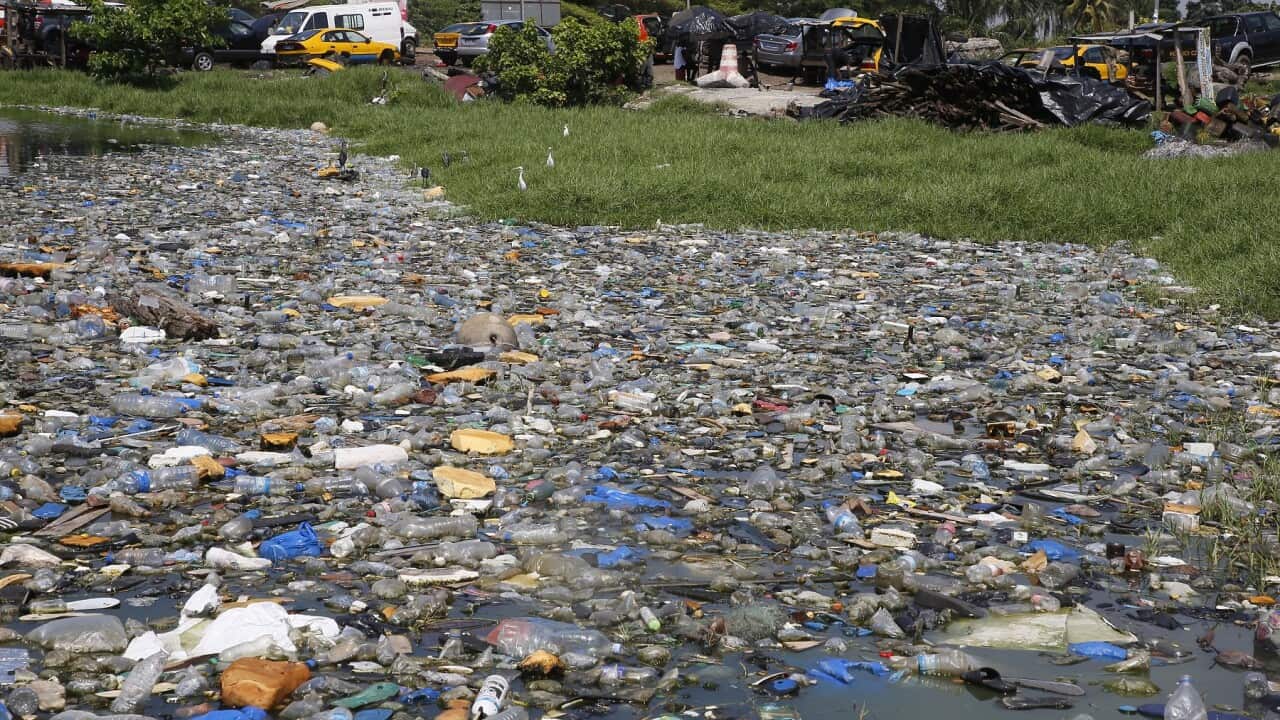 IVORY COAST POLLUTION