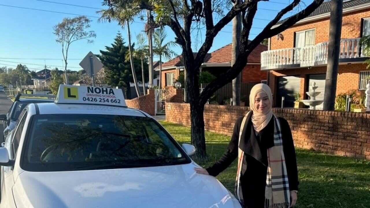 Noha Samer- Driving School.jpg